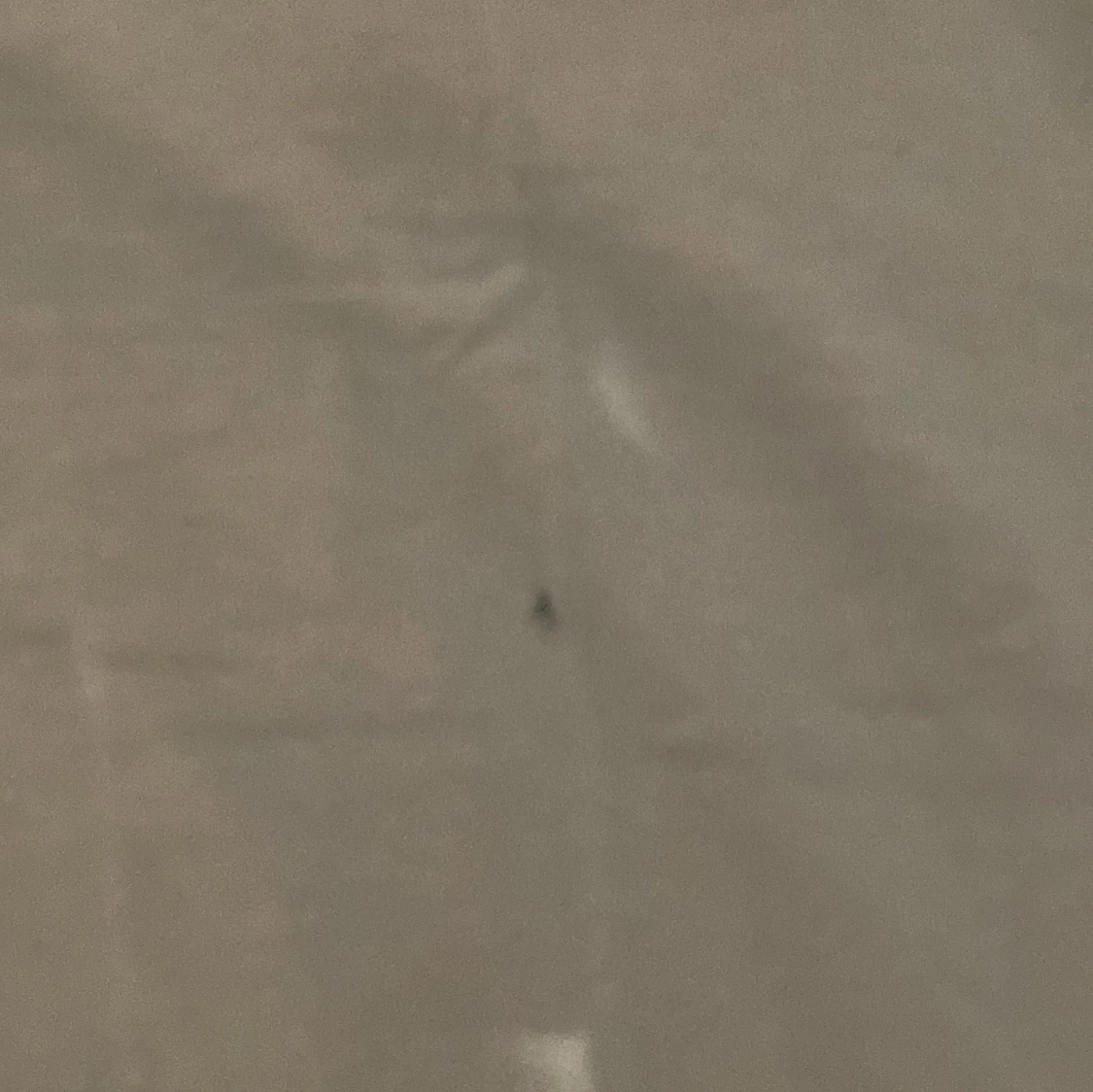 Turkos och marinblå t-shirt från Lyle & Scott - 91