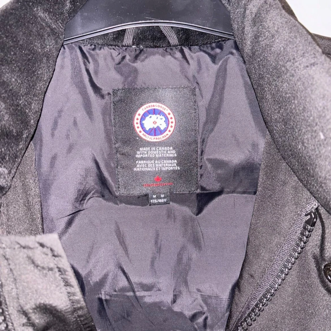 Canada goose - 93