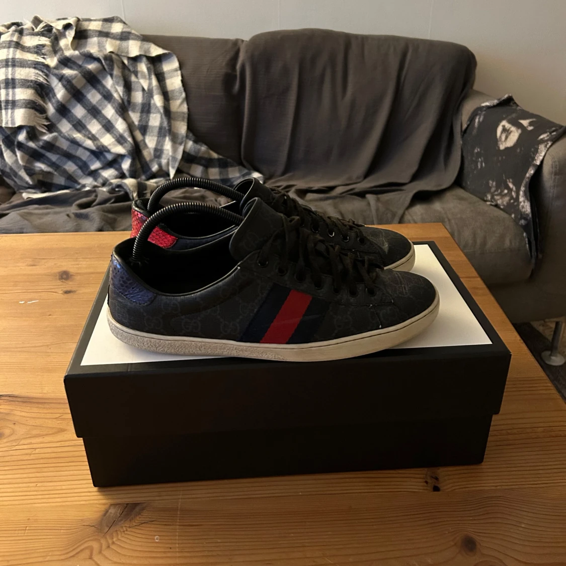 Gucci ace