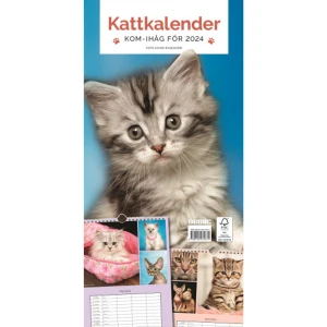 Kattkalender 2024 (bok, spiral) - Stor almanacka där bedårande katter piggar upp varje månad!Föräldramöten, tandläkartider, träningar, middagsbjudningar och födelsedagar – det är mycket som händer i vardagen och svårt att hålla allt i minnet. Den här kalendern har plats för familjemedlemmarnas anteckningar om allt viktigt att hålla reda på. En helt oemotståndlig kalender för alla kattälskare!Legendariska kattfotografen Eivor Rasehorn står för de vackra bilderna.    Format Spiral   Språk Svenska   Utgivningsdatum 2023-08-08   Medverkande Eivor Rasehorn   Medverkande Mårten Chenon   ISBN 9789155271831  