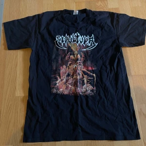 Sepultura Tröja - Säljer en svart t-shirt med ett coolt och detaljerat tryck på framsidan. Perfekt för dig som gillar unika och lite mörkare motiv. T-shirten är kortärmad och i bra skick. Passar perfekt till vardags eller konsert! ❤️