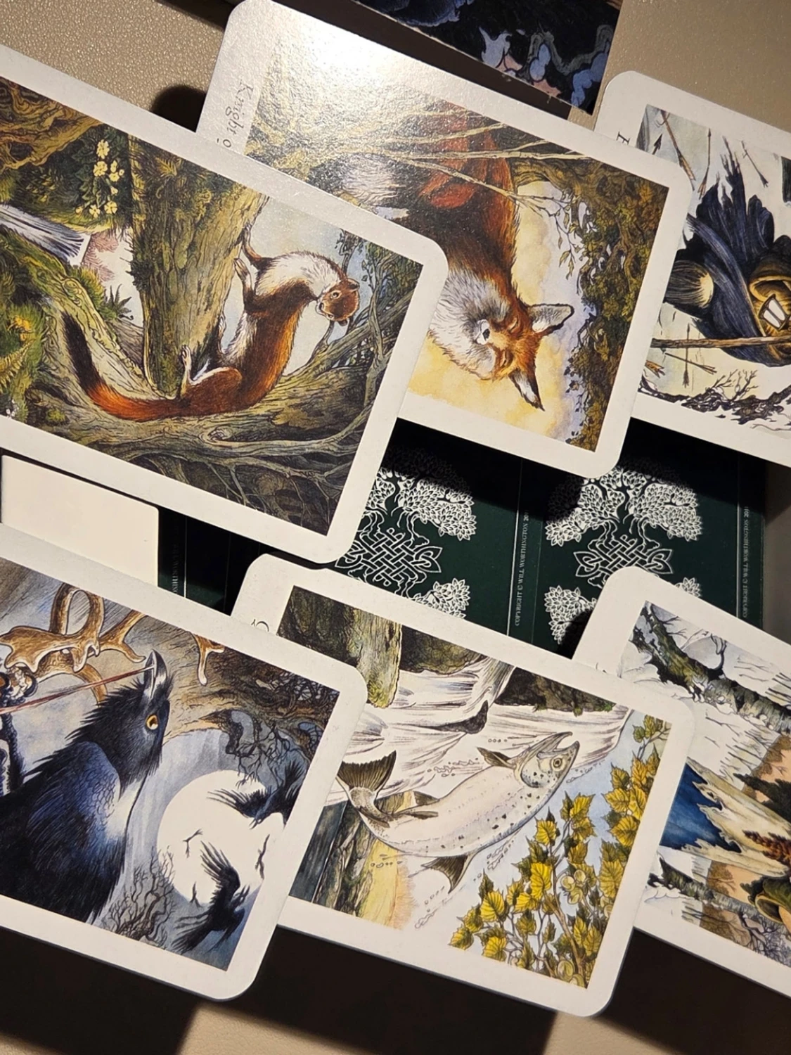 Tarot "The Wild Wood"  - 1