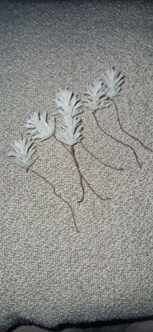 Dekorationer - Säljer fina dekorationskvistar med frostig/snöliknande yta och tunna metalltrådar som gör dem enkla att forma eller fästa i olika arrangemang. Perfekta till julpyssel, kransar, dukningar, paketinslagning eller andra kreativa projekt.