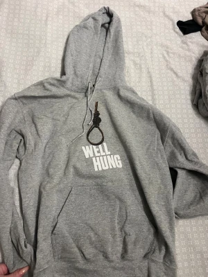 Grå hoodie med tryck från The Hundreds - Säljer en grå hoodie från The Hundreds, tryck med en snara och texten 'WELL HUNG' i vitt. Använd men inga hål eller skavanker så fint skick 