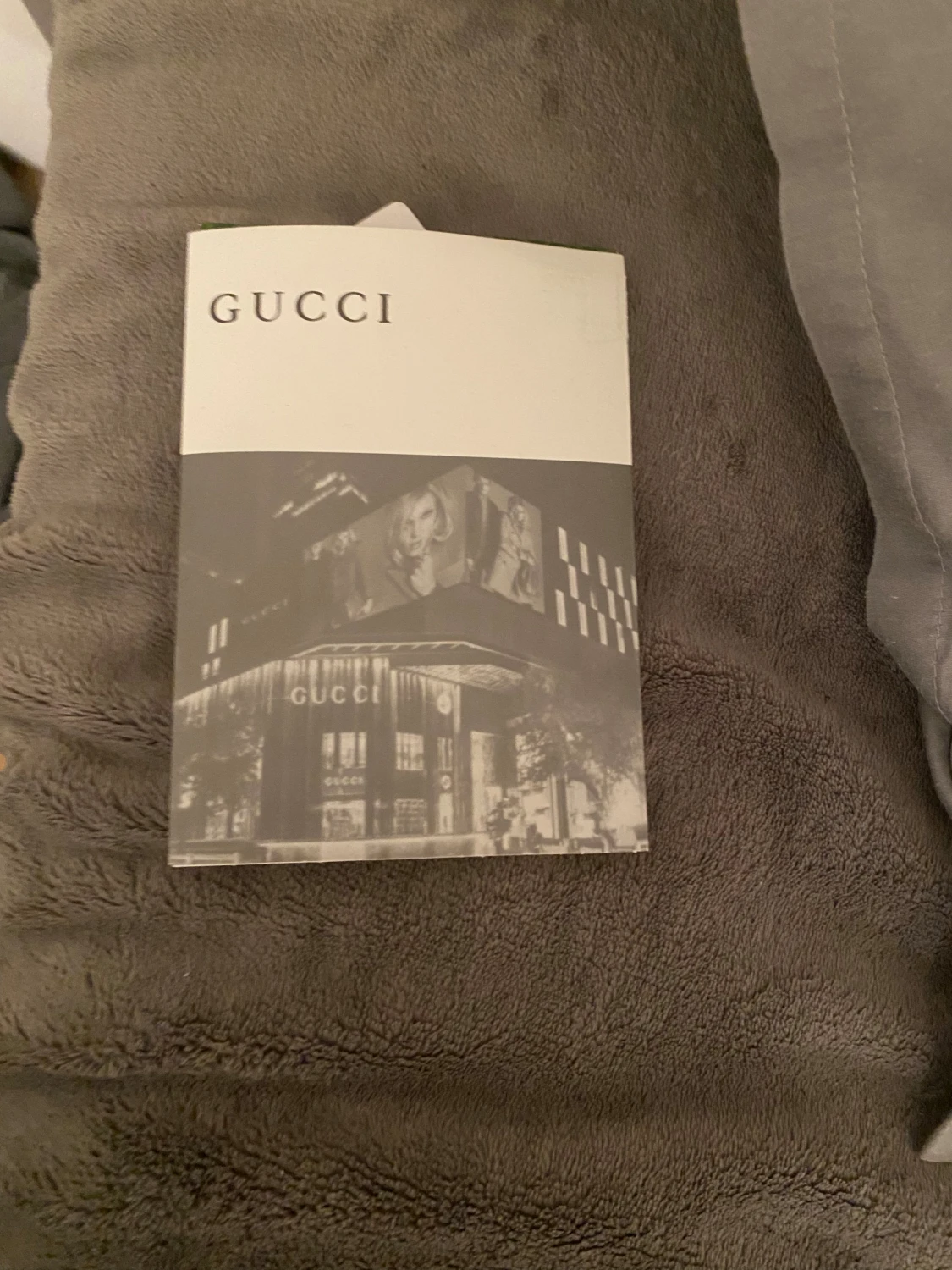 Guccii ace snake - 1
