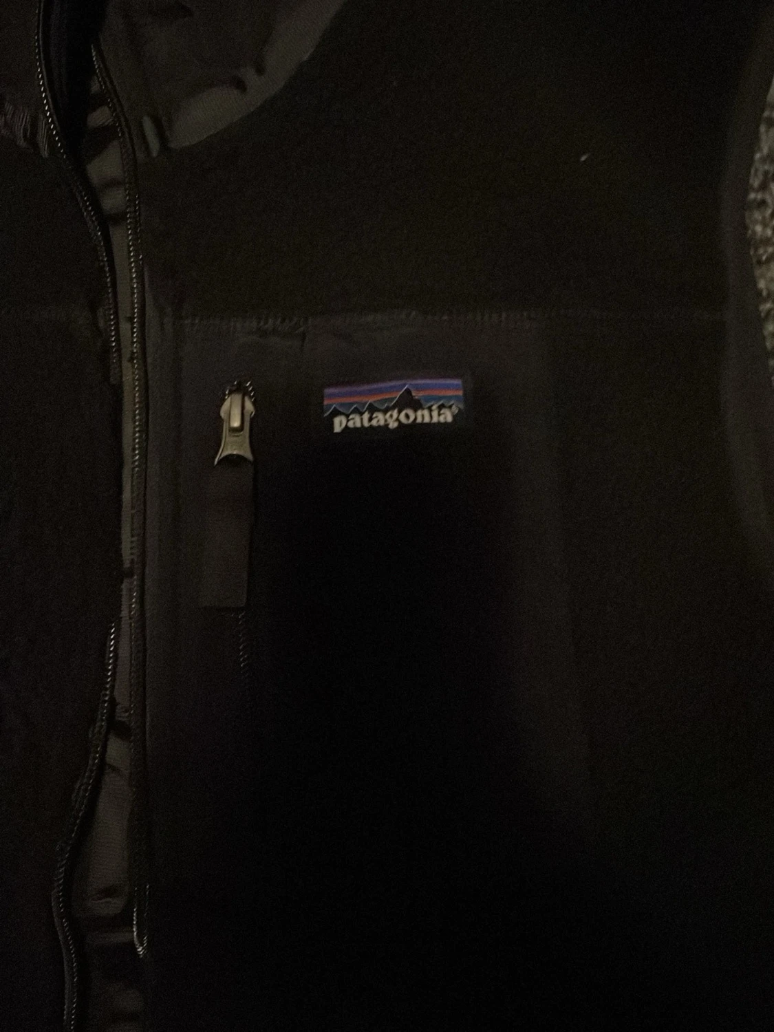 Svart fleeceväst från Patagonia - 1