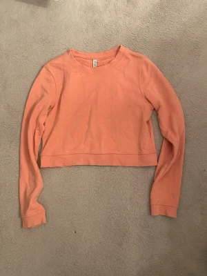 Croppad långärmad tröja - Säljer en croppad långärmad tröja i en snygg persikofärg. Tröjan har rund halsringning och är gjord i mjuk bomull, perfekt för vår och sommar. Enkel och stilren design som passar till det mesta.