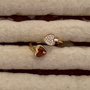 Rostfria ring  - Justerbar 