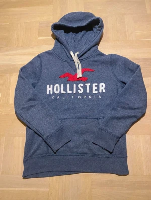 Hollister hoodie - Tja, säljer denna as feta och trendiga hollister hoodie. Perfekt nu till vinter och nu när archive stilen börjar bli lite extra poppis. Bra skick och sitter som en vanlig XS. Det är bara tt höra av dig om du har några frågor!🤗❄️🪾