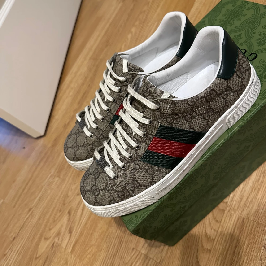 Gucci ace 