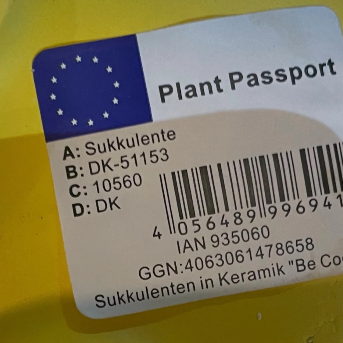 Keramik 'Be Cool' planter - 2