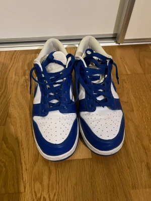 Nike Dunk Kentucky - Ett par Nike dunk Kentucky vit blåa. I storleken 44. Använda ett fåtal gånger 