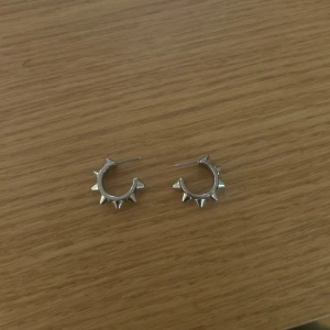 Edblad örhängen - Snygga örhängen från Edblad. Original priset är 400kr. Köpte dem för några månader sen men har använt max tre gånger. Kom privat för fler frågor! 