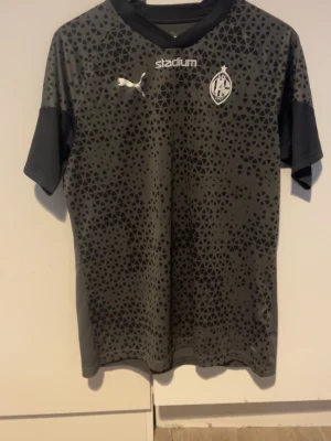 Mörkgrå träningströja från Puma - AFC Eskilstuna spelar-träningströja, spelaranvänd då den har unibet loggan på sidan av armen. Cond 9/10