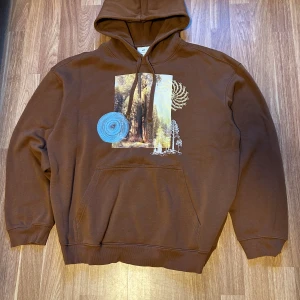 Brun hoodie med tryck  - Säljer en brun hoodie från H&M i relaxed fit med stor naturinspirerad print framtill. Materialet är mjuk bomullsmix, perfekt för chill dagar. Unik design med blå och gula detaljer i trycket. Använd men utan skador eller liknande. Pris kan diskuteras.
