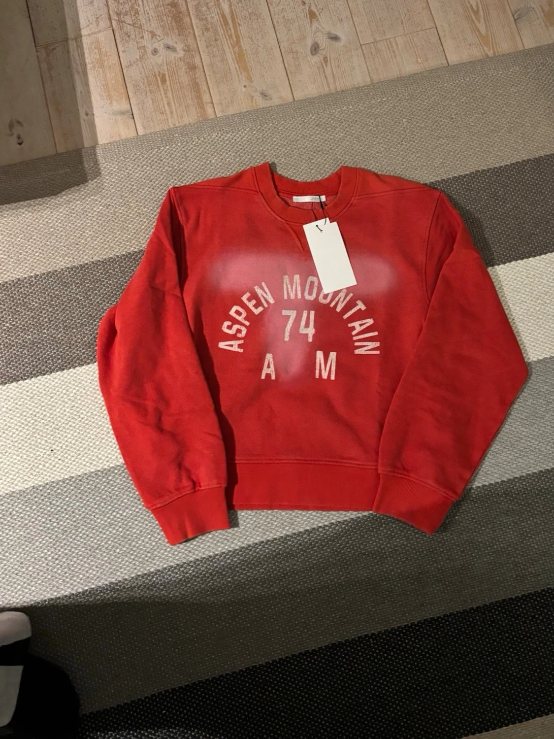 Zara sweatshirt 