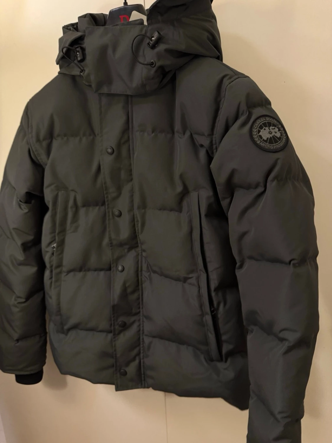 Svart dunjacka från Canada goose - 1