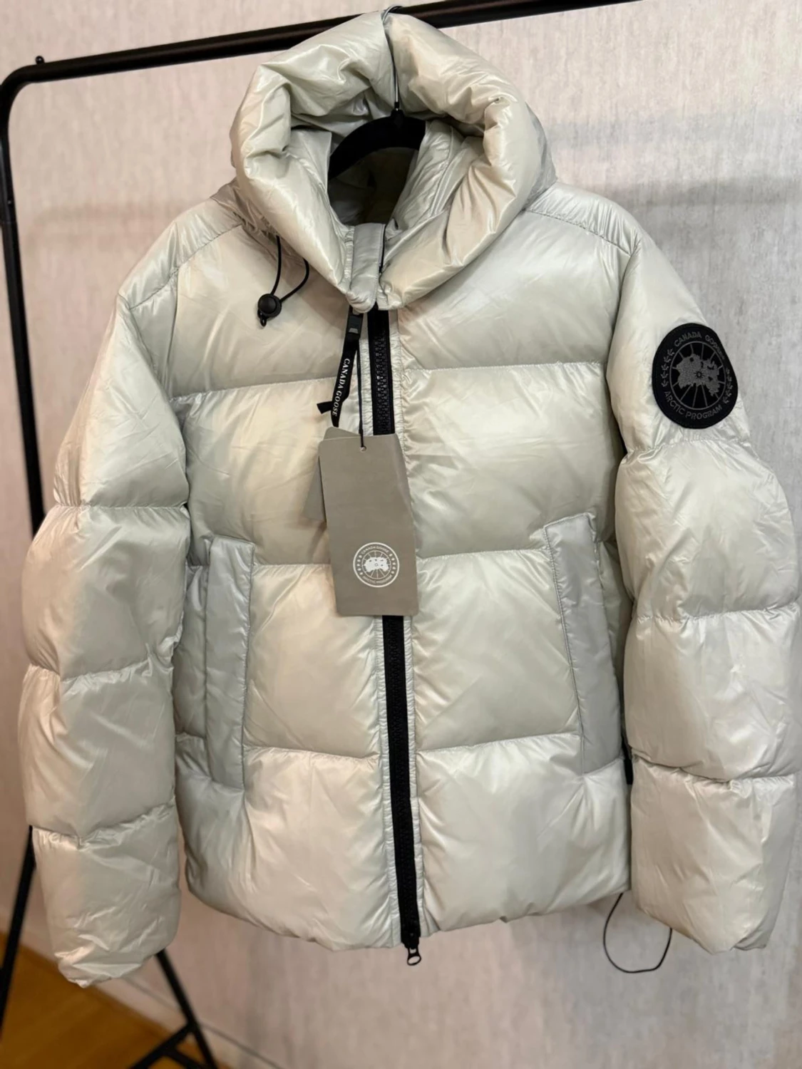 Ljusgrå  Canada Goose - 2
