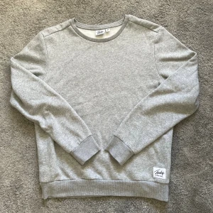 Grå tröja  från Andy by Frank Dandy - En stilren grå sweatshirt från Andy by Frank Dandy i storlek M. Tröjan har rund halsringning, ribbade muddar vid ärmslut och nederkant samt en snygg logotyp-patch nertill. Perfekt för chill dagar och enkel att matcha med jeans eller jogger😝Riktigt Grich och guzzarna blir galna 😎