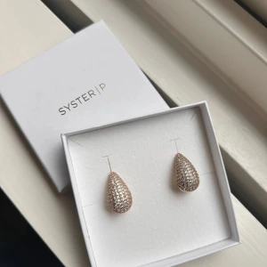 Örhängen - Eleganta örhängen i rostfritt stål och guldplätering. Obs inte Edblad har bara inte orginalkartong🤍