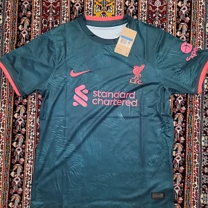 Liverpool tredjeställ 22/23 fan-shirt - Liverpool FC fotbollströja från Nike i mörkgrön färg med korallröda detaljer. Tröjan har korta ärmar, Dri-FIT-material och tryckta loggor samt sponsortryck på bröstet. Snyggt mönster i tyget och klassisk passform. Perfekt för dig som älskar fotboll och vill sticka ut.