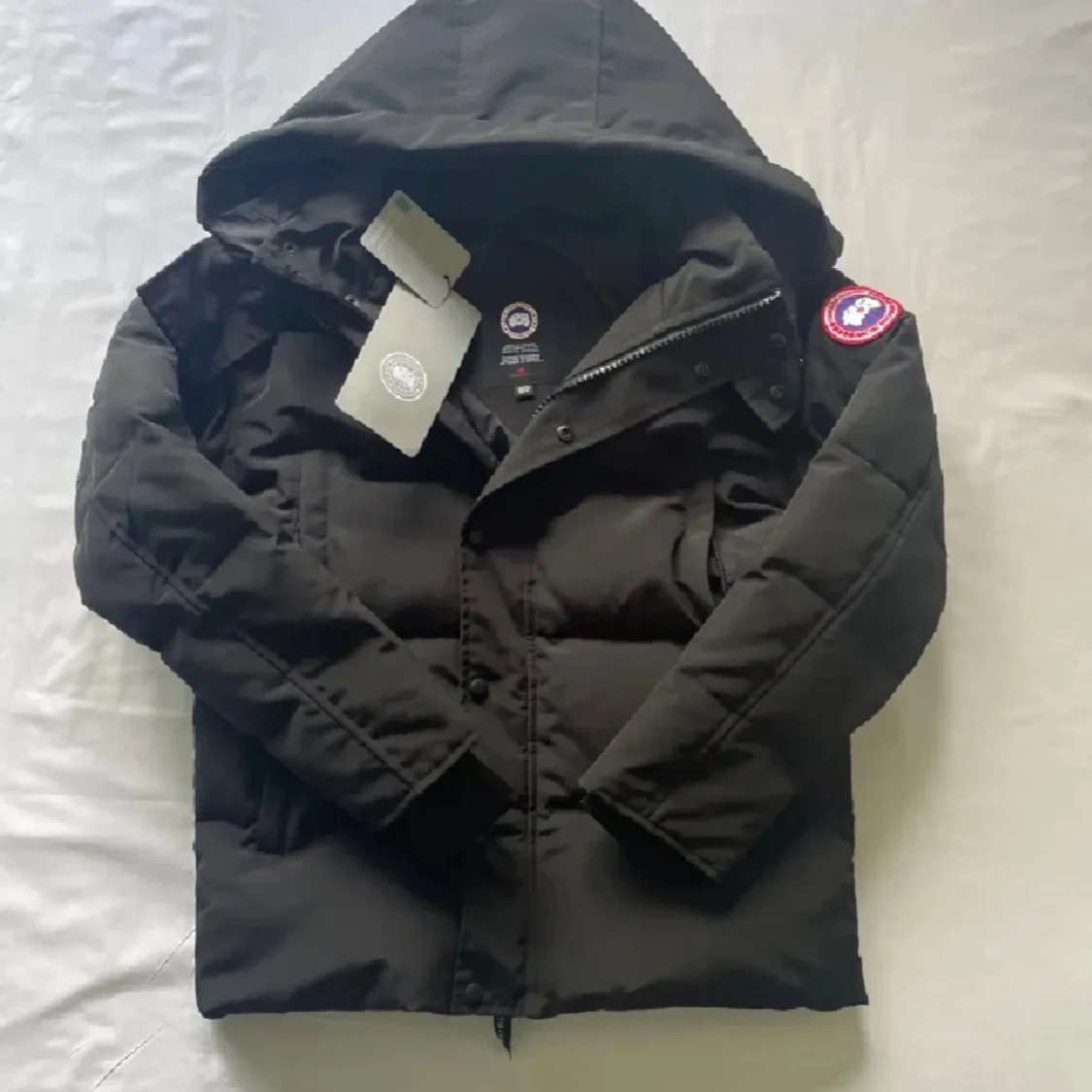 Canada Goosee Wyndham parka
