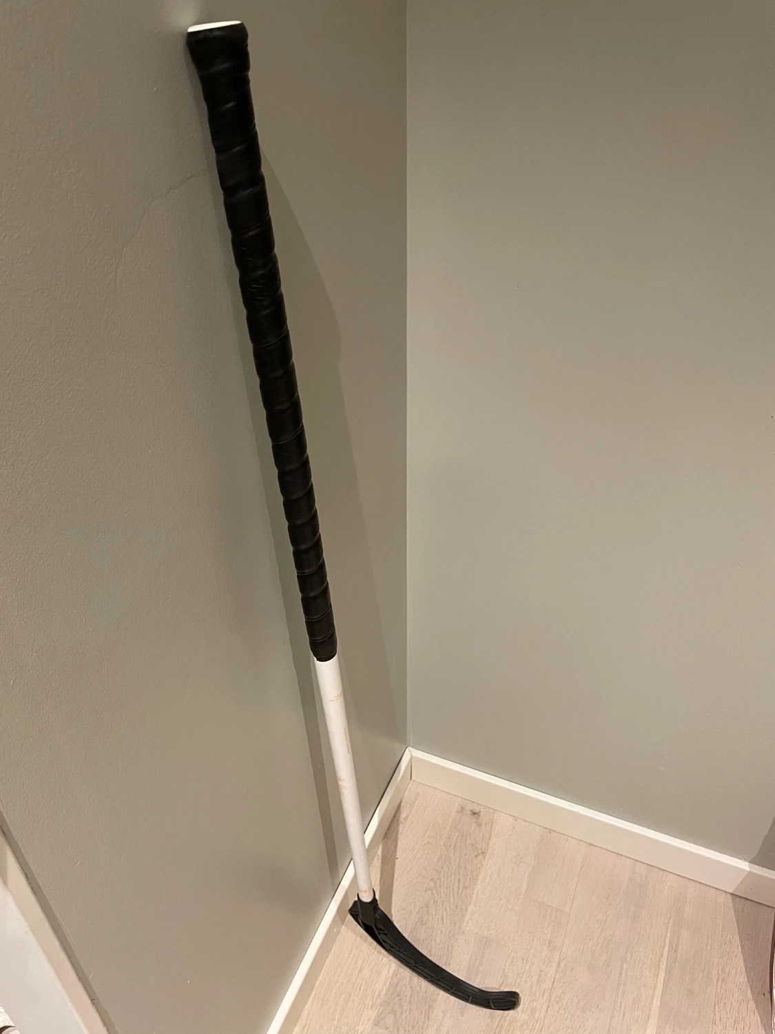 Zone innebandyklubba - 1