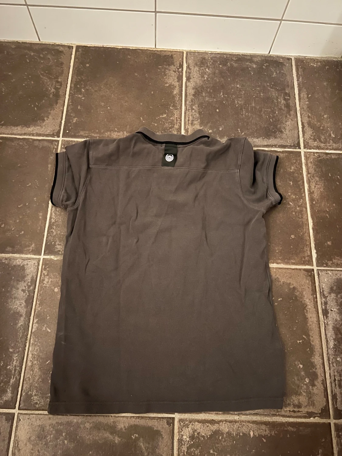 Sail racing pike  - 1