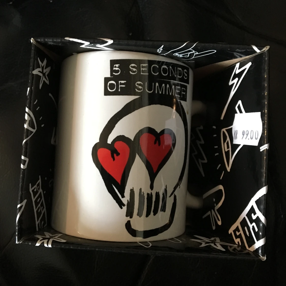 5 seconds of summer i porslin