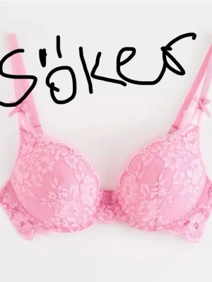 Rosa bh 70b - Rosa bh storlek 70b