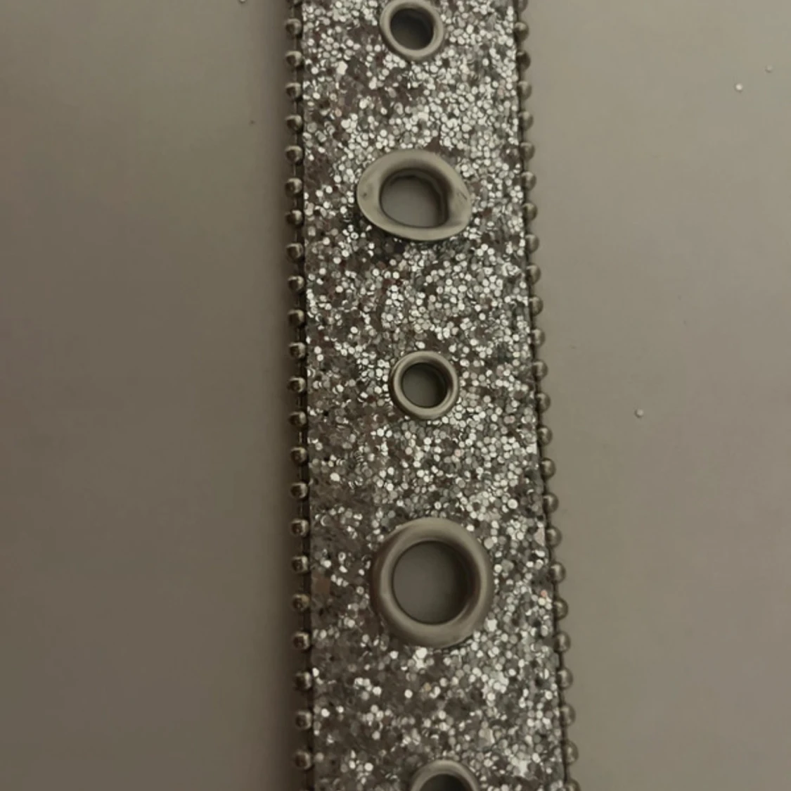 Glittrigt silverbälte  - 1