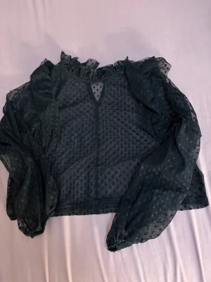 Svart prickig meshblus från Zara - Säljer en svart transparent meshblus från Zara med prickigt mönster. Blusen har långa ärmar, volangdetaljer vid axlar och hals samt en lätt rynkad krage. Perfekt att styla lager på lager för en trendig look.