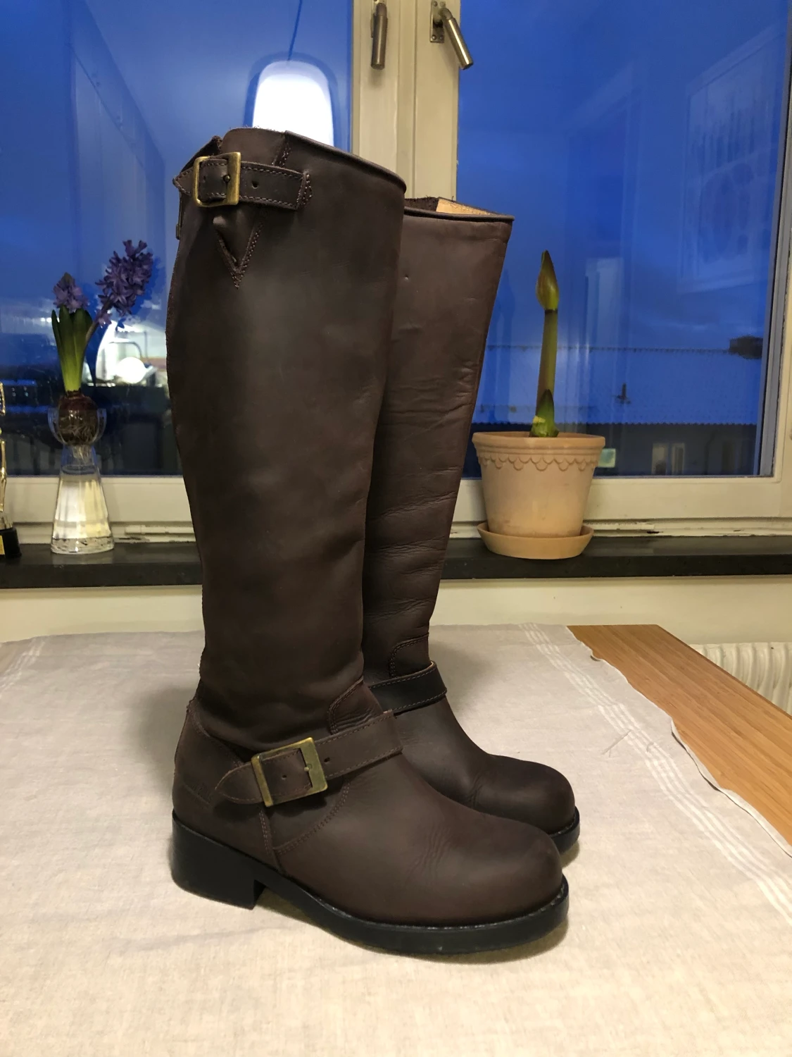 Johnny bulls western boots