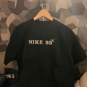 Nike SB tshirt - jäkligt nice t-shirt men har paraknas så säljer den. Storlek M. Möts i sthlm