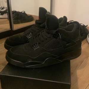 Jordan 4 blackcats - Helt nya pris kan diskuteras 