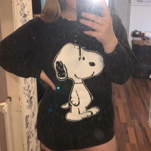 Hoddie - Oversized snobben hoddie från h&m i stl S. Hund och katt finns i hemmet!