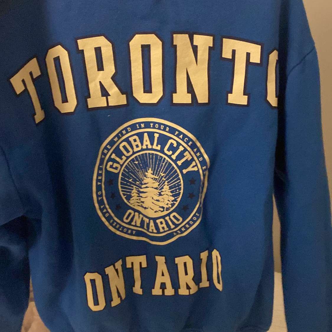 Snygg blå sweatshirt från pull & bear - 90