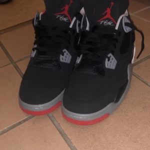 Jordan 4   - Ej andvänd storlek 43
