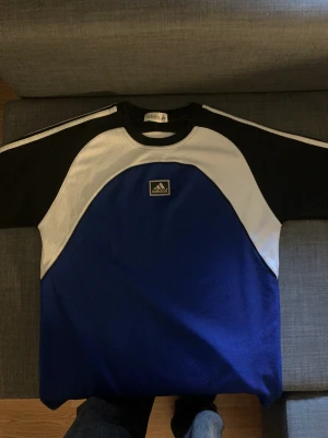 Adidas träningströja - Adidas träningstörja med en skumgummi adidas loga på bröstet, storleken står ingenstans men skulle säga att det är en Large