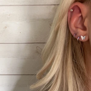 Fjärlinsörhängen - Fick ett extra par av dessa fjärilar i sterling silver. Det paret jag säljer är alltså oanvända och i den plastficka de kom i. Är osäker på frakt men tror de går att skicka i ett vanligt brev