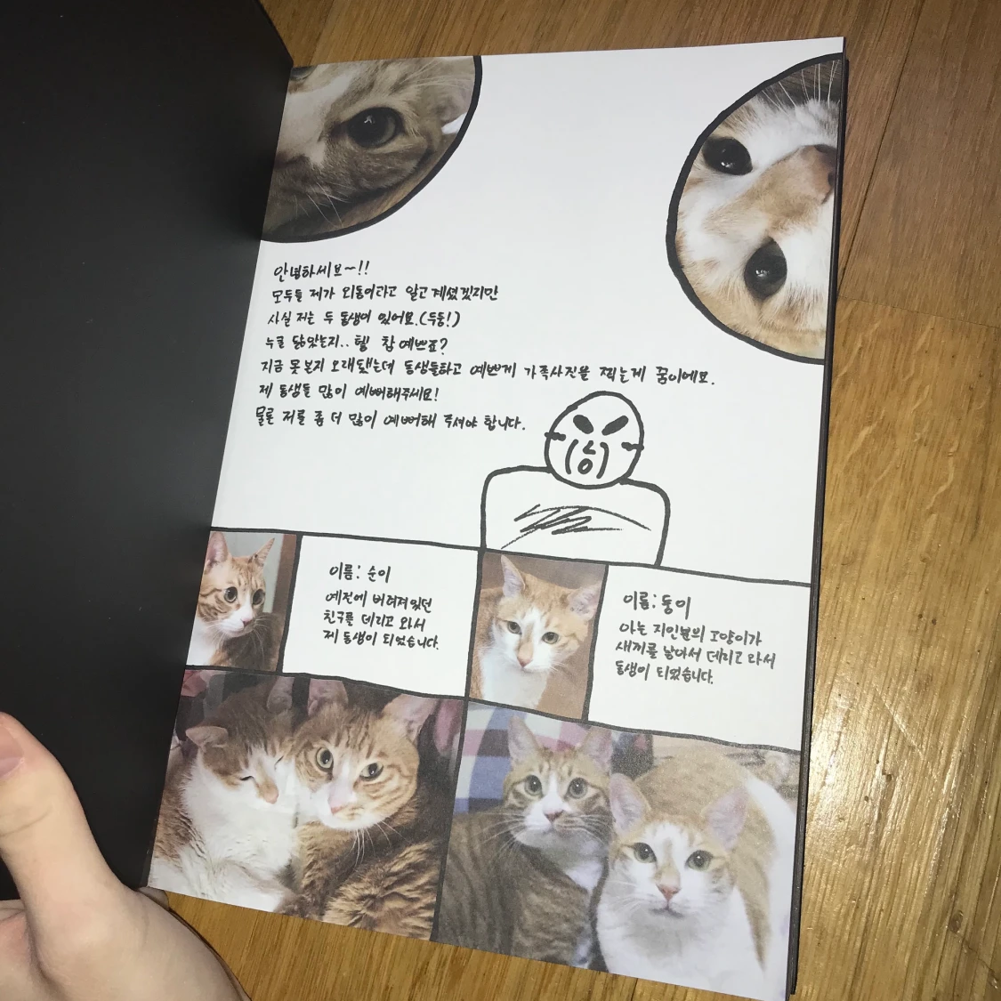 STRAY KIDS I AM NOT - 91