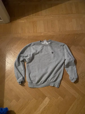 Champion tröja - Fet champion tröja själs, missa inte den här. Har använt et par gånge, den har nåra svarta fläckar som inte går bort, men man ser dem inte så mkt. Det är bara höra av er om det nåra frågor om tröjan:)