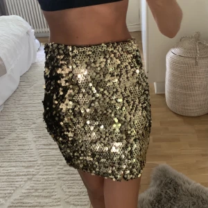 Paljettkjol - Fin paljett kjol från Dry lake köpt på two angels i Göteborg. Använd 1 gång.