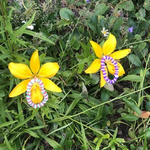 Armband💕 - Två fina armband för 10-13 år Passar äldre för att de har stretchiga band. 