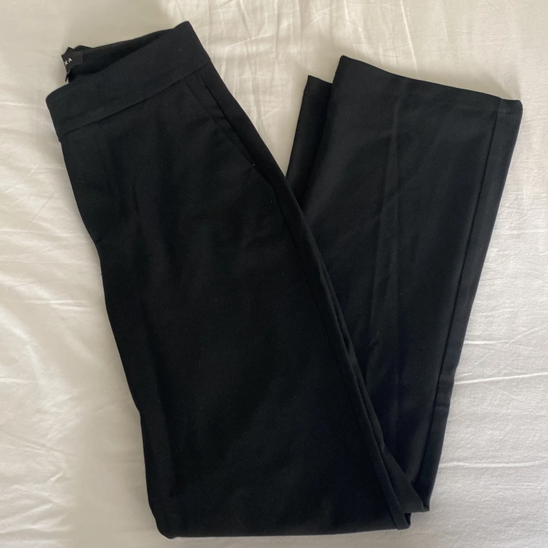 Suit pants short LXA