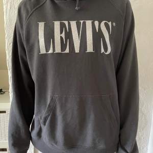 Fin Levis hoodie med glitter på logan