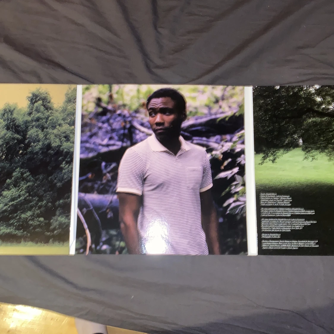 Childish gambino camp vinyl - 90