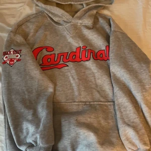 vintage hoodie - Jätte fin grå vintage hoodie!❤️