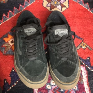 Skate skor Vans TNT Advanced Prototype strlk 43 - Pro skate skor från Vans x Tony Trujillo strlk 43. Använda 2-3 ggr pga för små sedan har stått och samlat damm.  Inbyggd luft ventilation och Pro Skate mest avancerade fotbädd stötdämpning. Konstruktionen är förstärkt runt slitsgeområden. Nypris 1000kr.