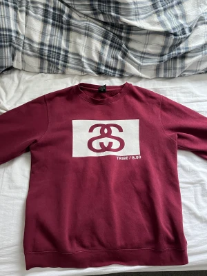 Vintage Stussy crewneck  - Jätte snygg vintage crewneck från stussy med lite cracking. Tryck finns på framsida och baksida. Pris kan diskuteras